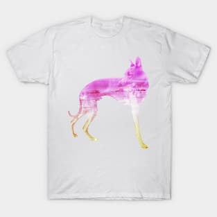 Pink & Yellow Waves Whippet T-Shirt